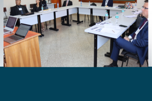 Temática: Derecho laboral – II Simposio Paraguay – Brasil