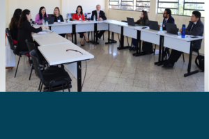 Temática: Medios alternativos de solución de conflictos – II Simposio Paraguay – Brasil